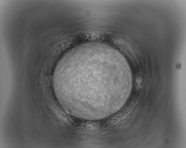 X0000100200865200806061320