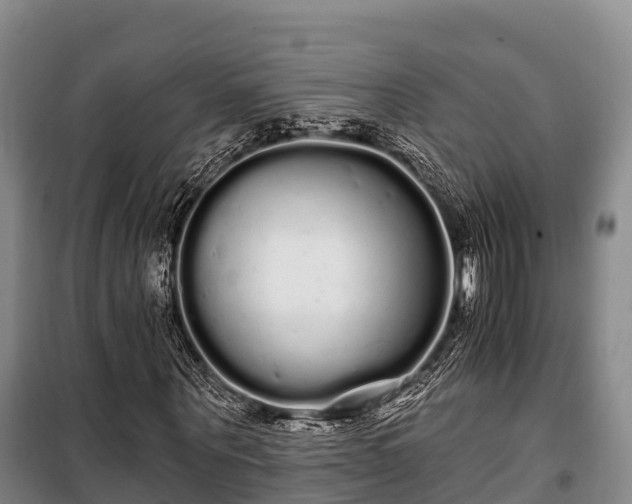 X0000100200867200806061320