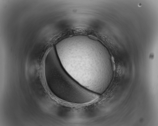 X0000100200868200806061320