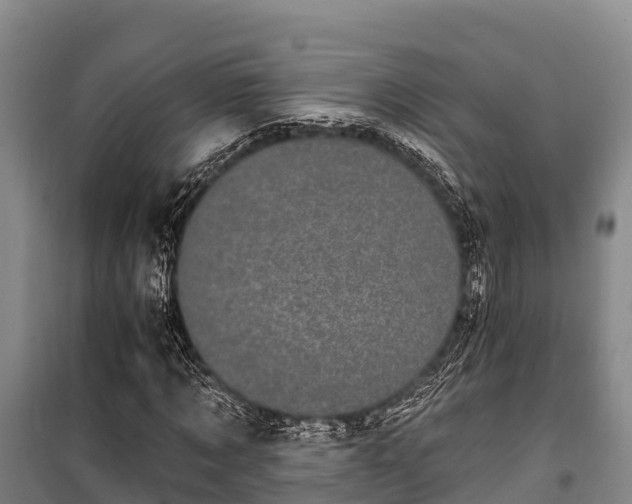 X0000100200869200806061320