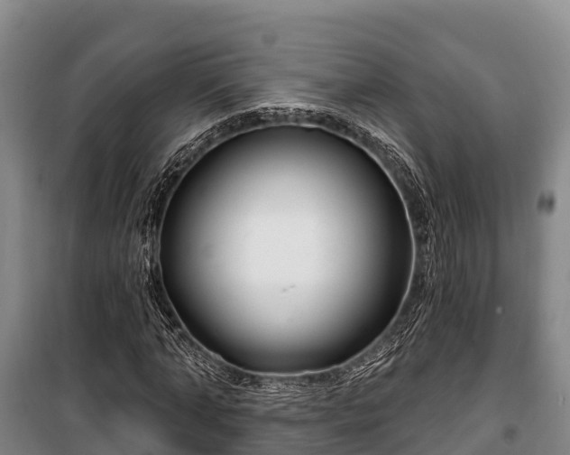 X0000100200870200806061320