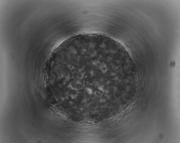 X0000100200871200806061320