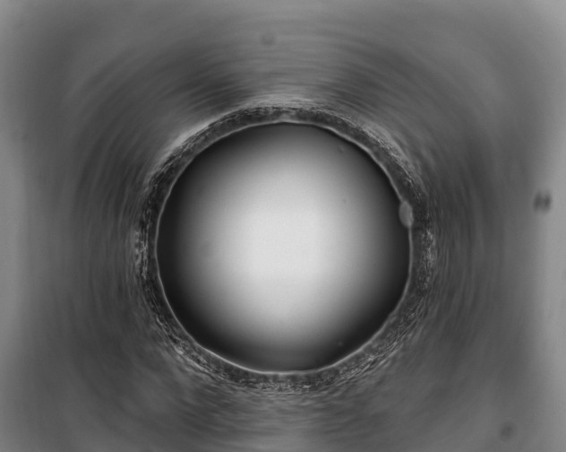 X0000100200872200806061320