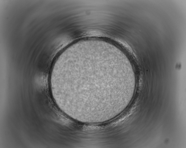 X0000100200873200806061320