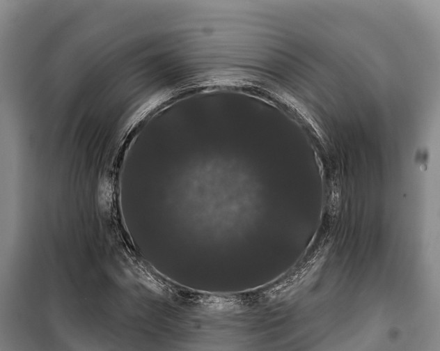 X0000100200874200806061320