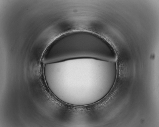 X0000100200876200806061320