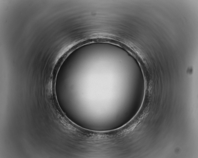 X0000100200877200806061320