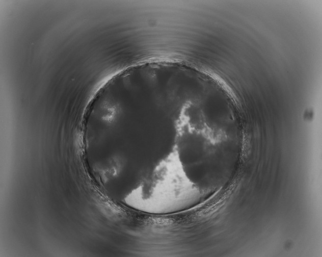 X0000100200878200806061320