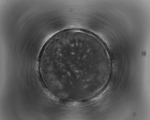 X0000100200879200806061320