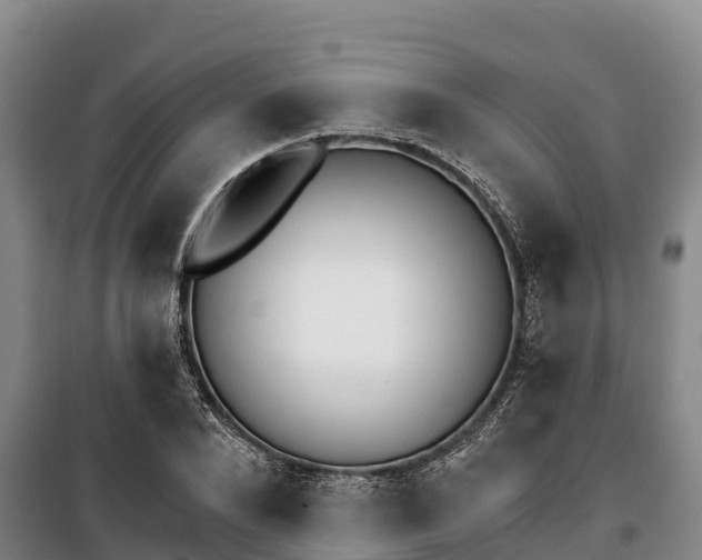 X0000100200880200806061320