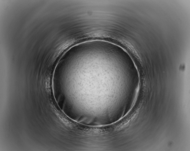 X0000100200881200806061320