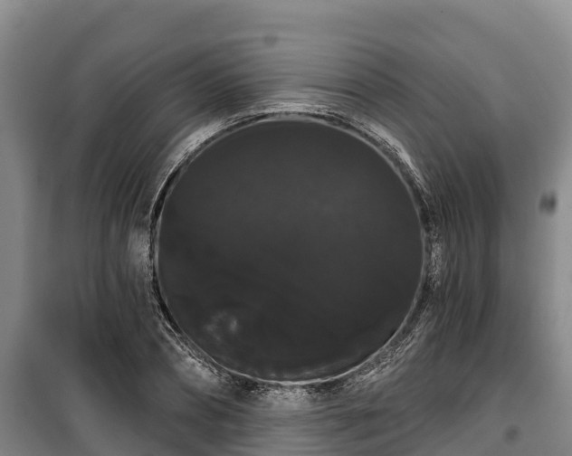 X0000100200882200806061320