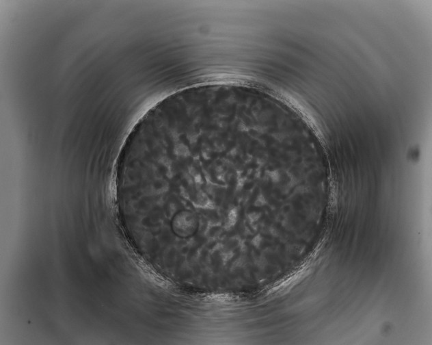 X0000100200883200806061320