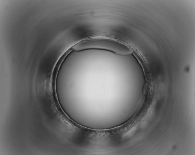 X0000100200884200806061320