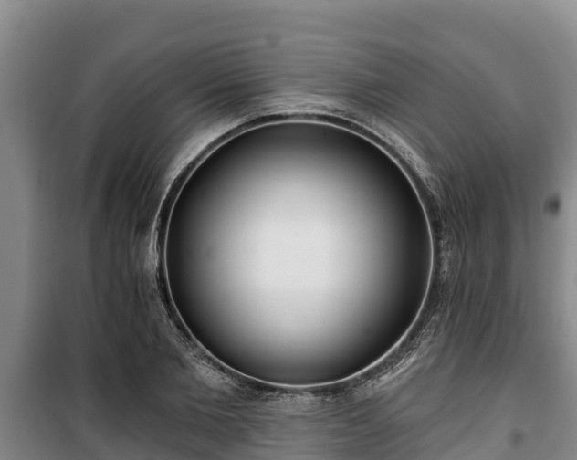 X0000100200885200806061320