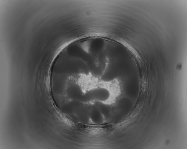 X0000100200886200806061320