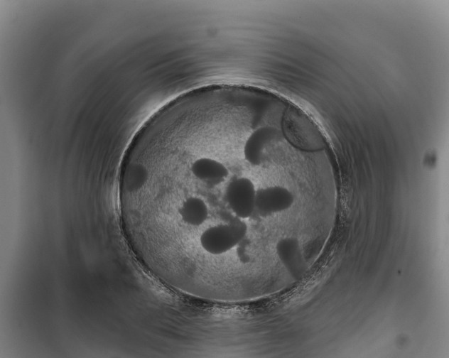 X0000100200887200806061320