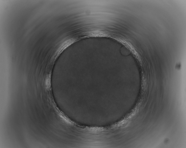 X0000100200889200806061320