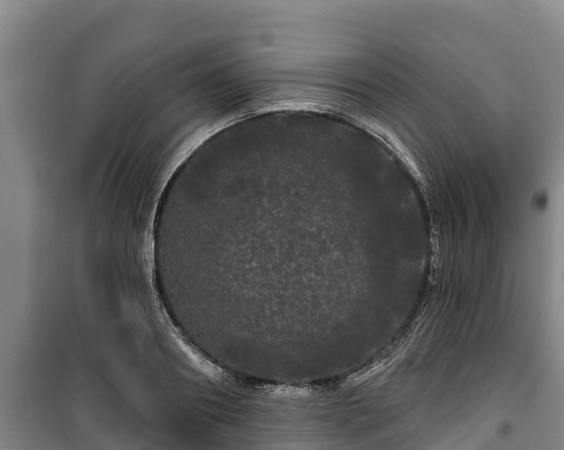 X0000100200890200806061320