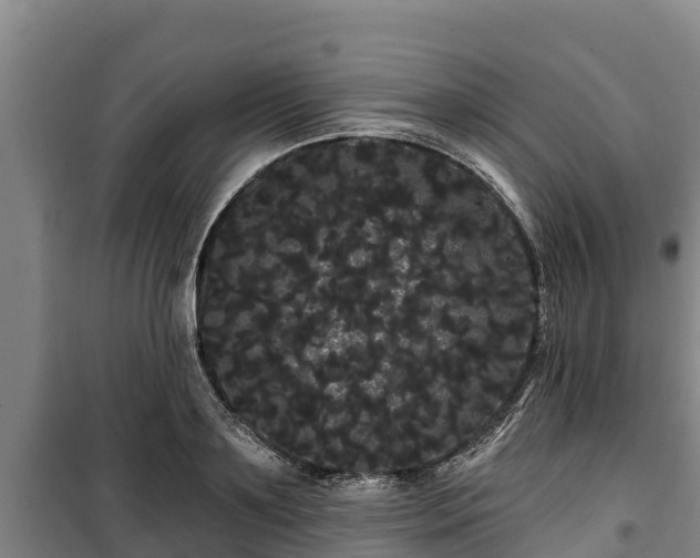 X0000100200891200806061320