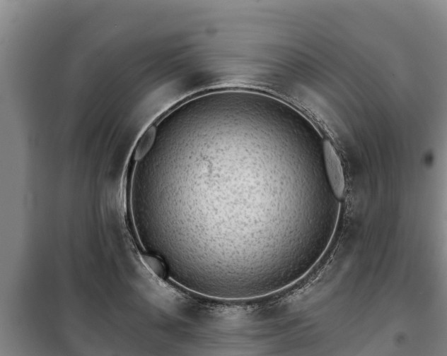 X0000100200892200806061319