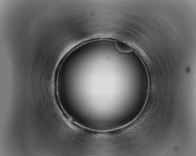 X0000100200894200806061319