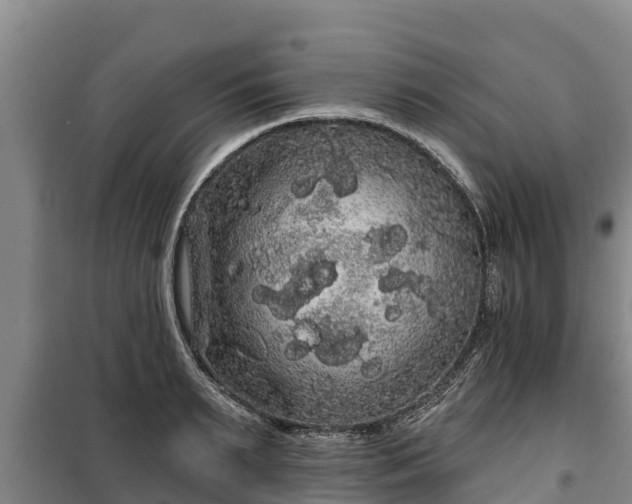 X0000100200895200806061319