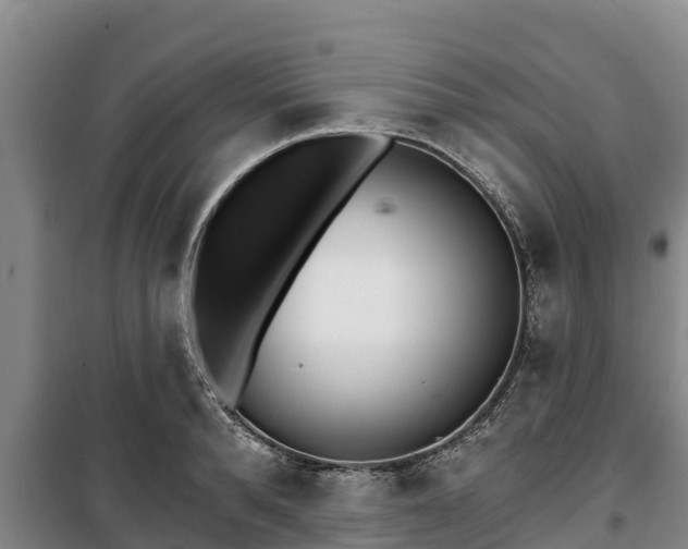 X0000100200896200806061319