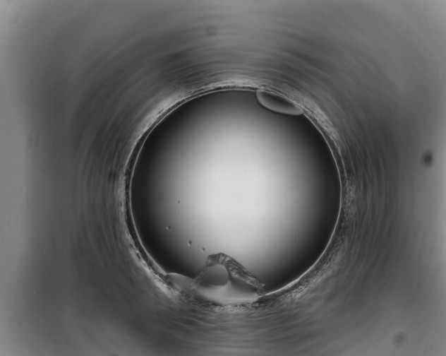 X0000100200898200806061319