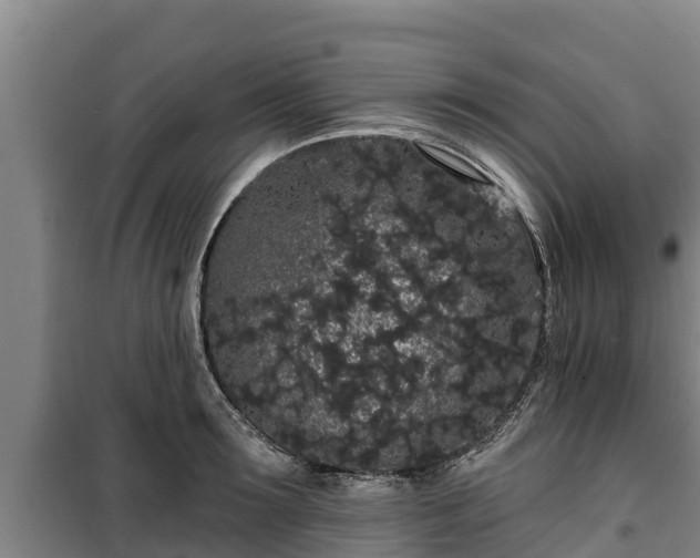 X0000100200899200806061319