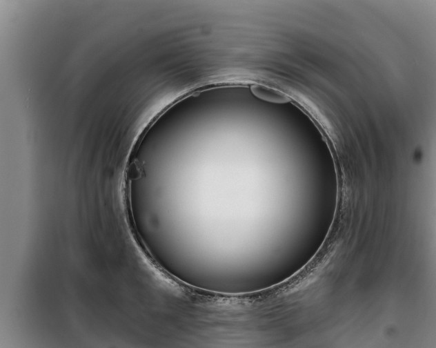 X0000100200901200806061319