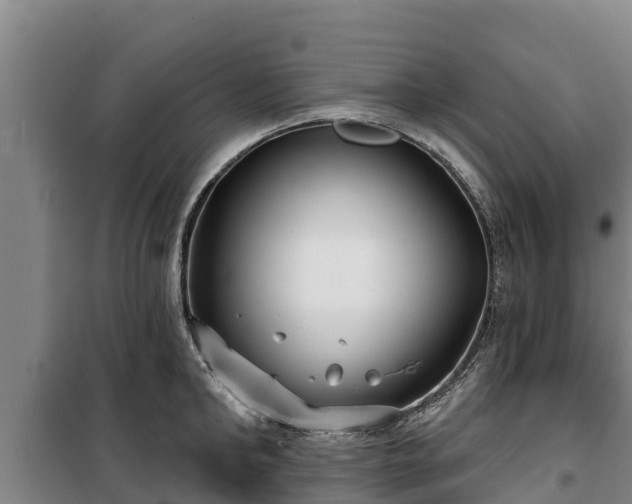 X0000100200902200806061319