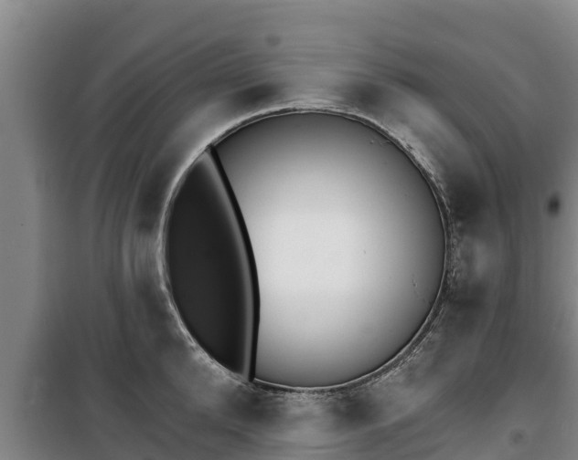 X0000100200904200806061319