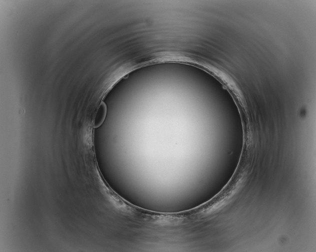 X0000100200905200806061319