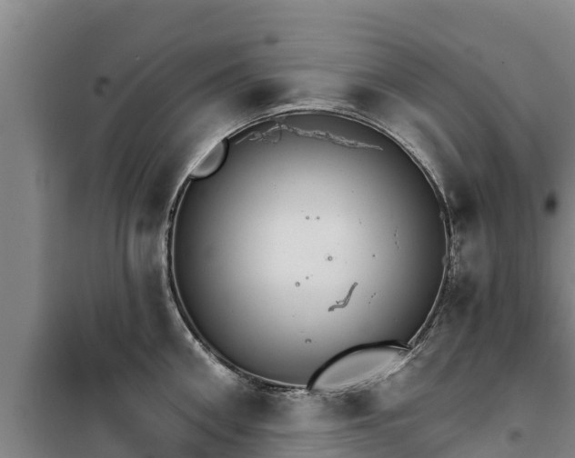 X0000100200906200806061319