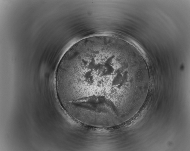 X0000100200907200806061319