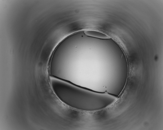 X0000100200908200806061319