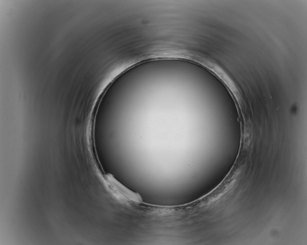 X0000100200909200806061319