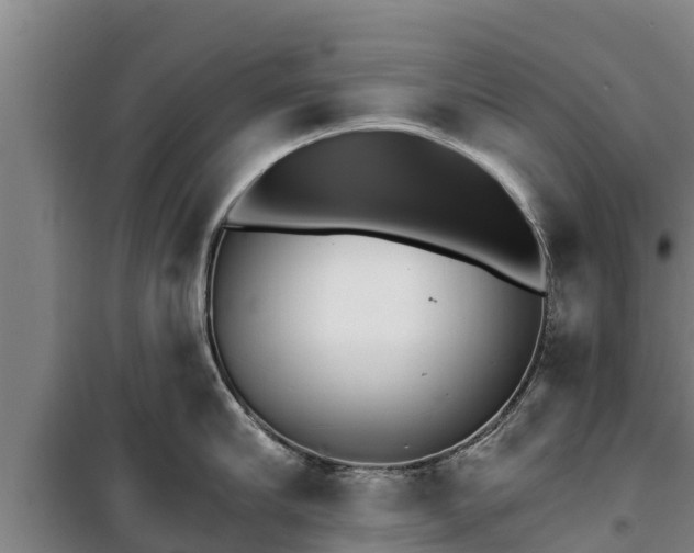 X0000100200910200806061319