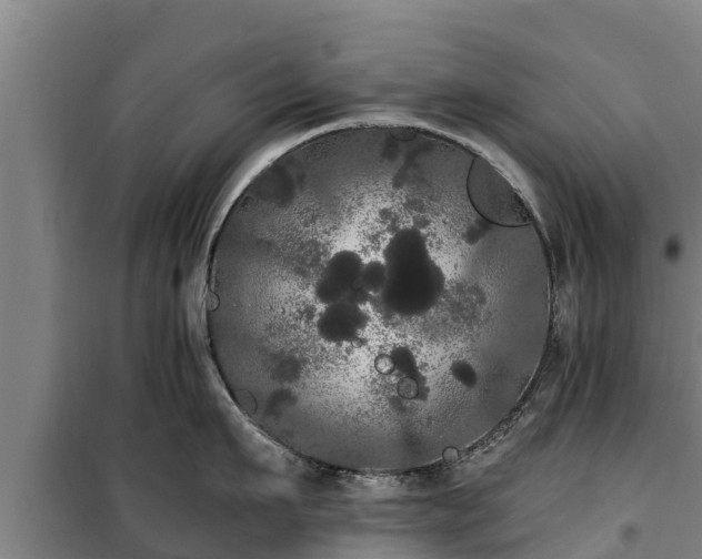 X0000100200911200806061319