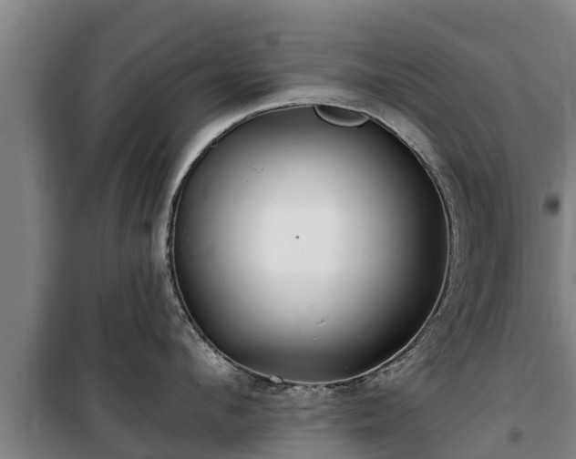 X0000100200912200806061319