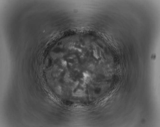 X0000100200913200806061319