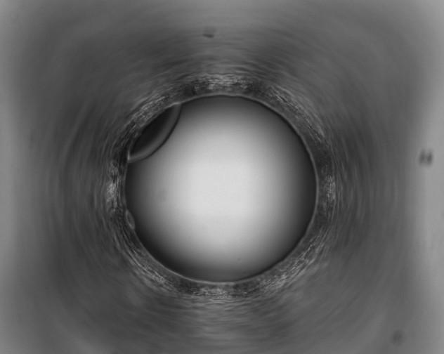 X0000100200914200806061319