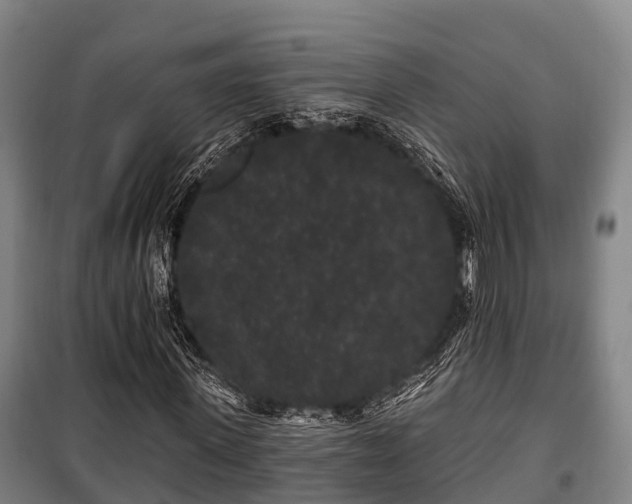 X0000100200915200806061319