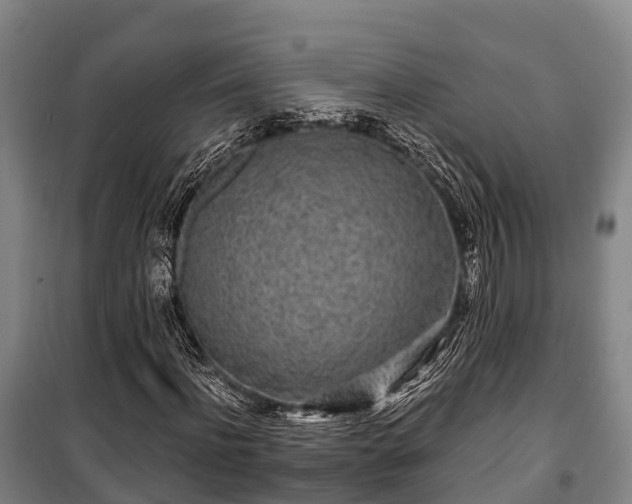 X0000100200916200806061319