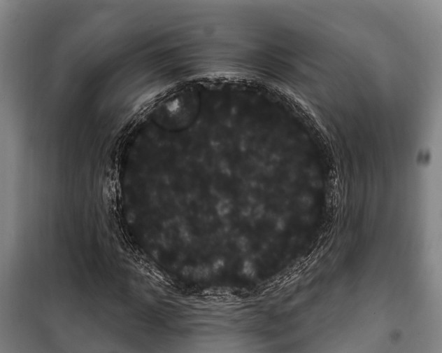 X0000100200918200806061319