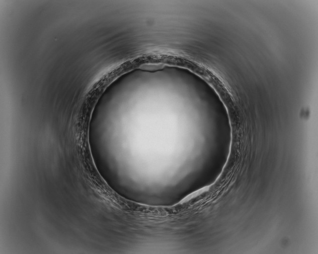 X0000100200919200806061319