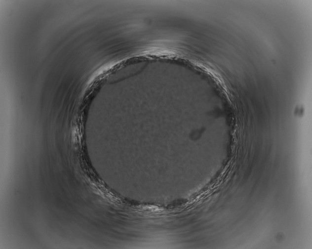 X0000100200920200806061319