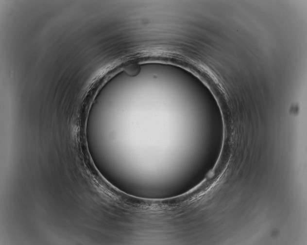 X0000100200922200806061319