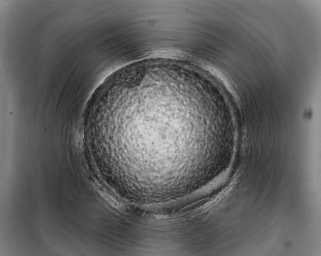 X0000100200923200806061319